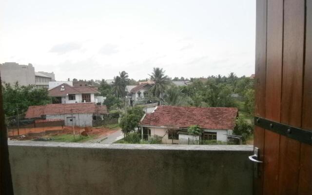 Mangrove Lagoon View