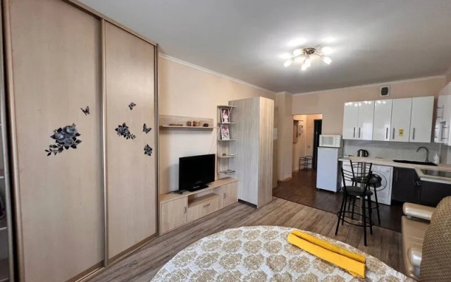 Апартаменты Вояж на улице 50 лет ВЛКСМ, д. 19