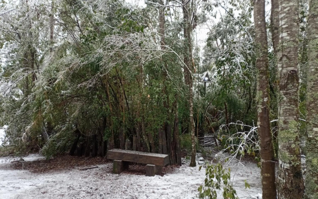 Domo Bosque Nativo Villarrica comuna