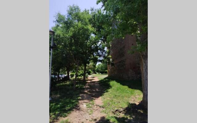 Cozy House with garden in the old town