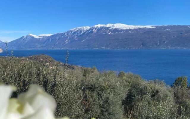 Apartment Panorama P1