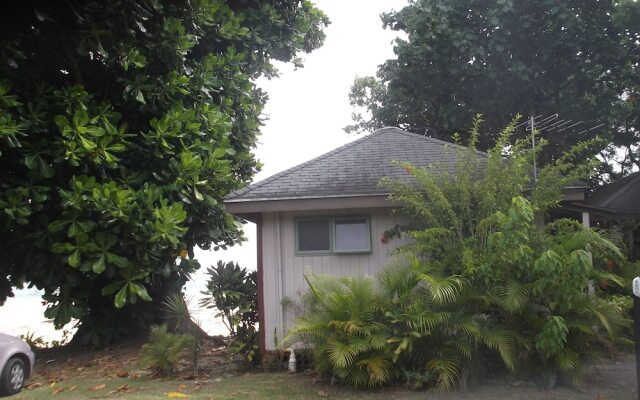 Muriavai Bungalows