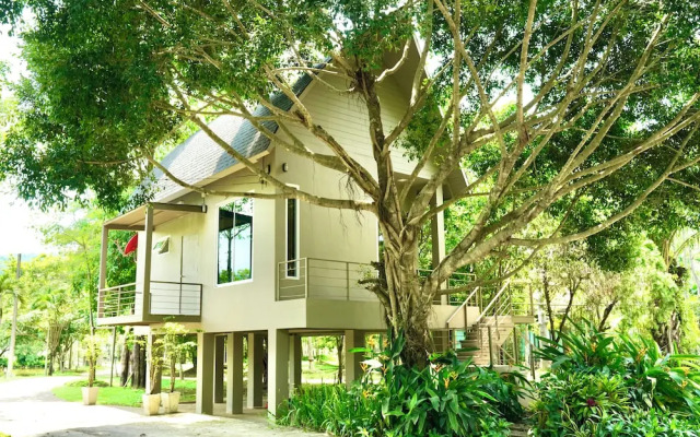 Tree Scape Mountain View Resort