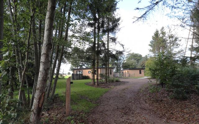 Unique Holiday Home in Dalerveen With Garden