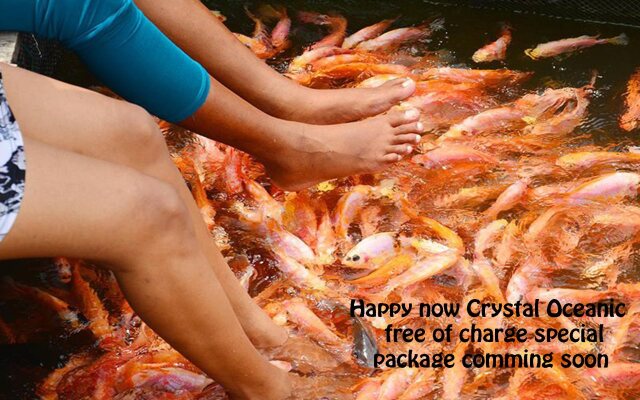 Crystal Oceanic