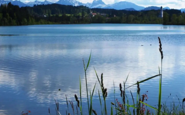 Sandra Comfortable Holiday Residence