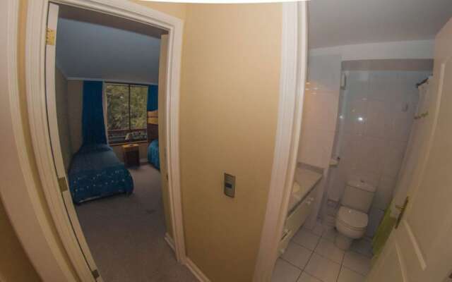 Departamento Cerro Pucon