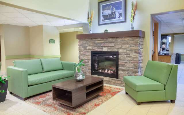 Super 8 by Wyndham Midland