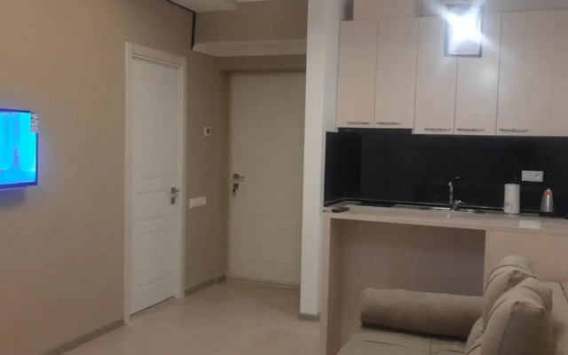 Tsaghkadzor, Alvina Complex Apartment 163