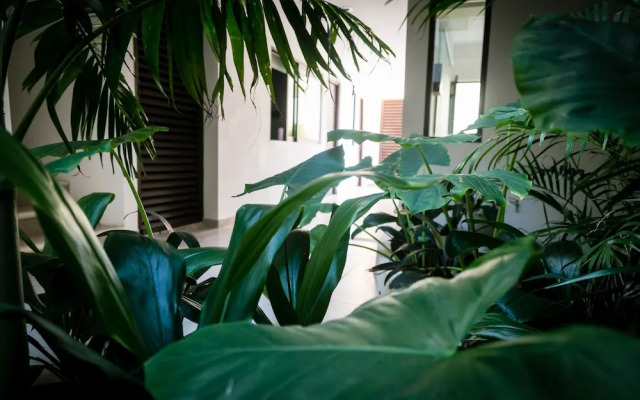 Pakal Condos