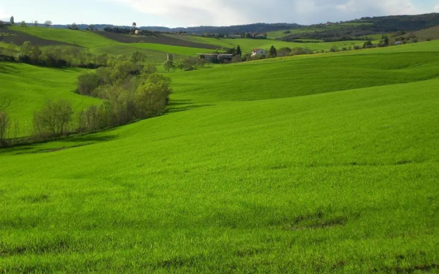 Il Girasole Terzuolo