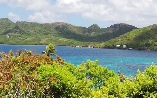 Apartamento Mango Tree