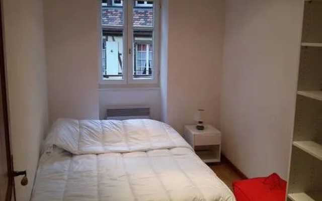 Appartement Les Tanneurs Colmar Le Green