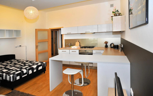 Apartment Elišky Krásnohorské