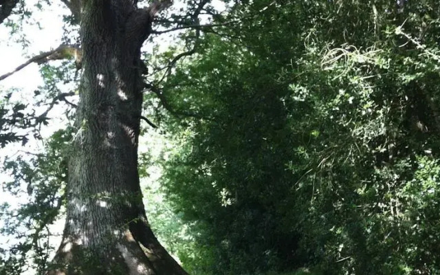 Newburn Farm
