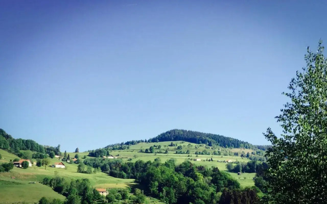 Silver Trees Glamping
