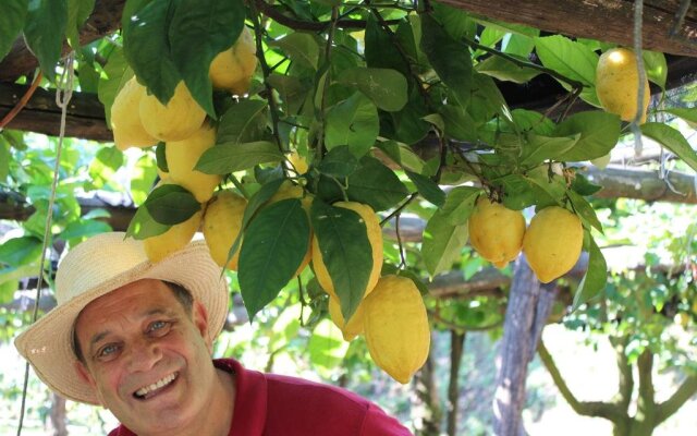 Casa Fasano Country House