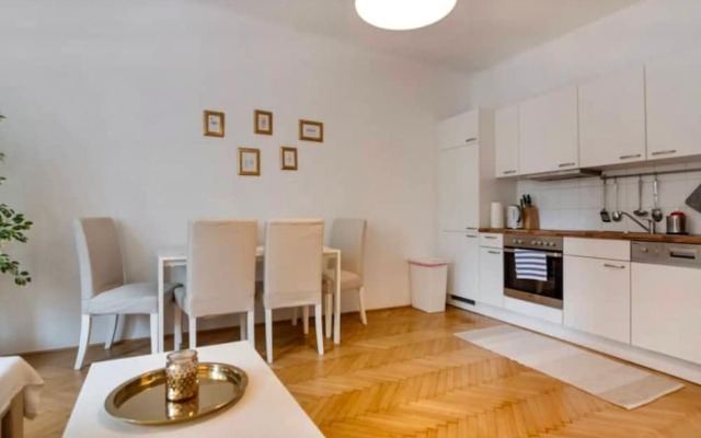 Apartment in the  center Vienna Austria