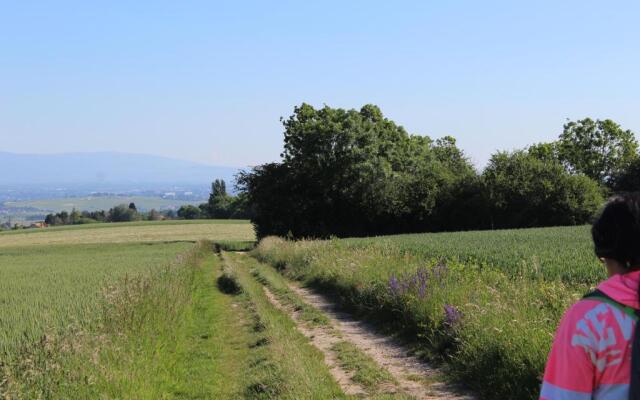 Le petit nid à Viry