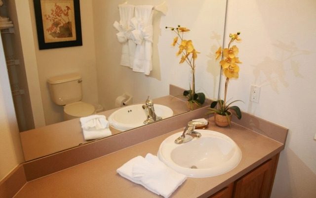 Florida Vacations 365