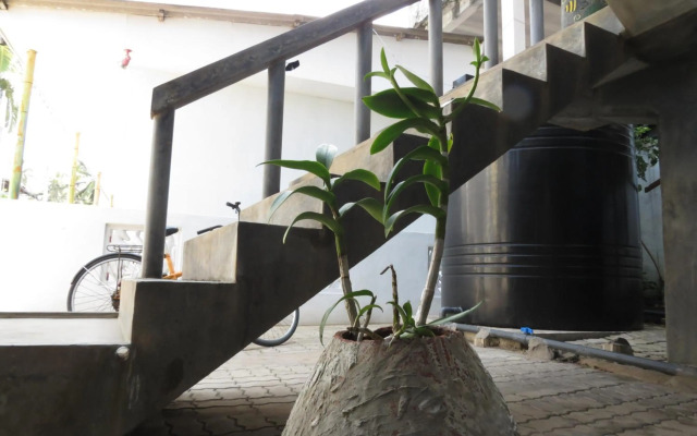 Mountain Wave Hotel and Surfshop