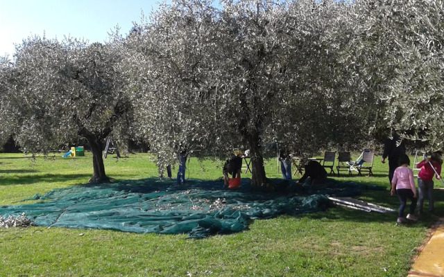 Agriturismo il Cardo