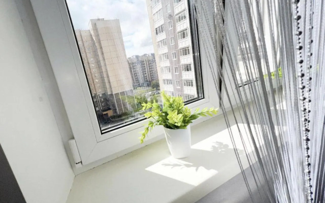 Саквояж на улице Чернышевского 114