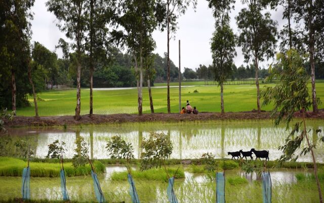 Backpackers Eco Village