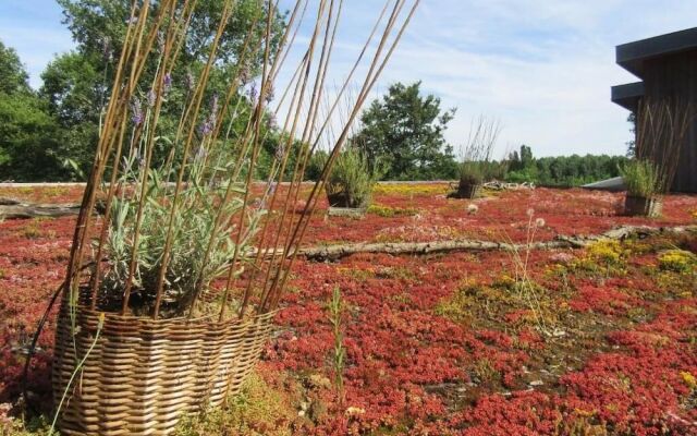 La Maison d'Hôtes D'une Autre Nature
