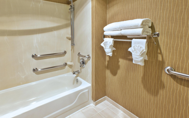 Holiday Inn & Suites Bolingbrook by IHG