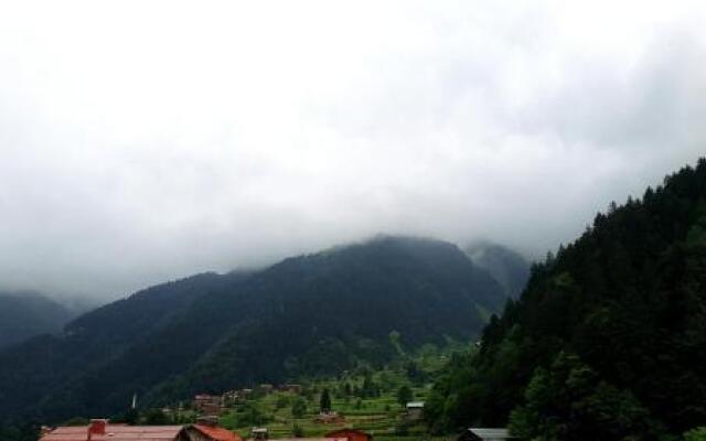 Talipoğlu Apart