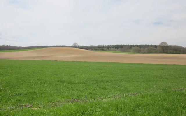 Quaint Holiday Home in Steffenshagen near Sea