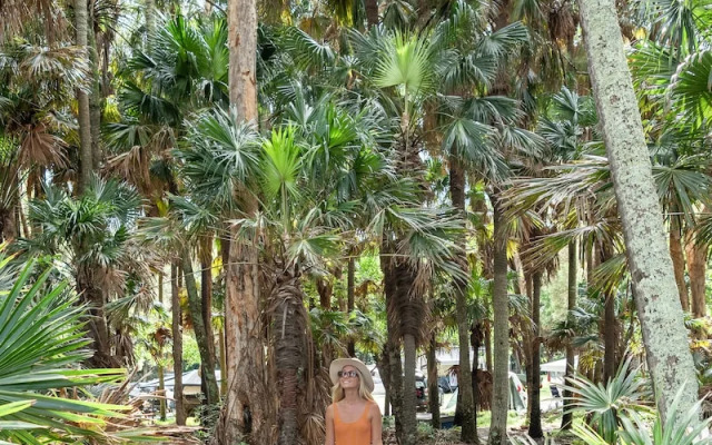 Tiona Palms Holiday Park