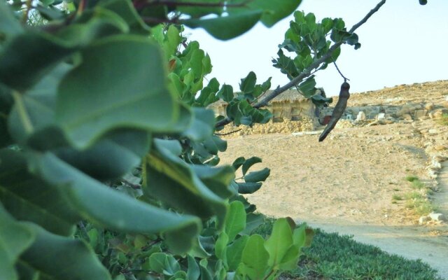 Succah In The Desert