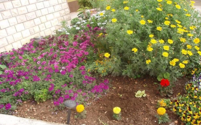 Teresa - Great Location & Parking - A1