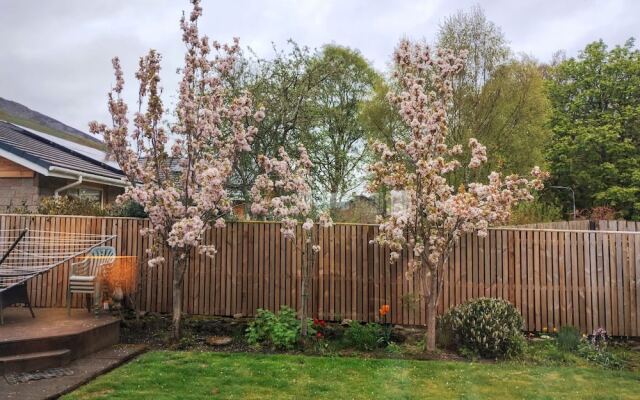 Immaculate 2-bed Apartment in Innerleithen