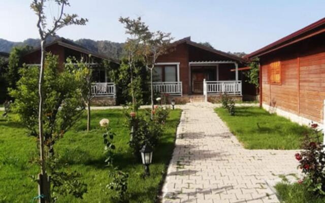 Şah Apart