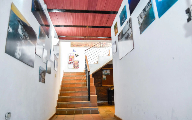 Aluna Hostel B&B