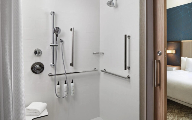 Springhill Suites By Marriott Frederica