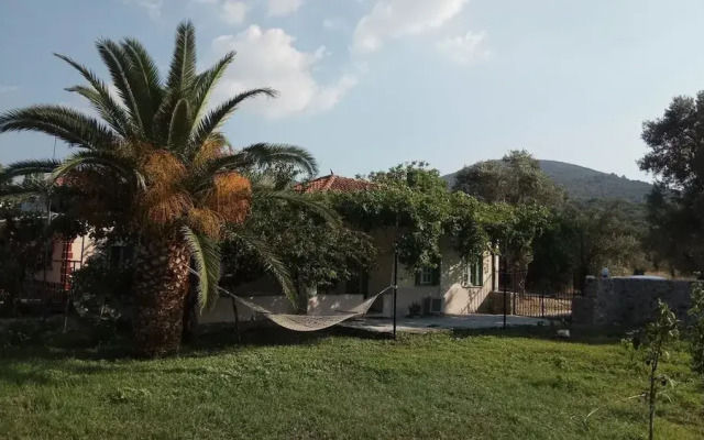 Country Village House