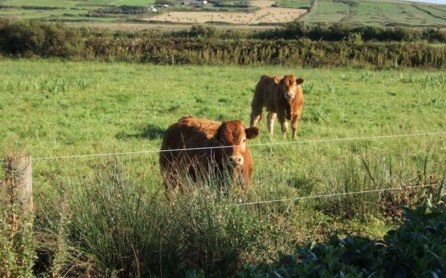 Glencarrig Farmhouse B&B