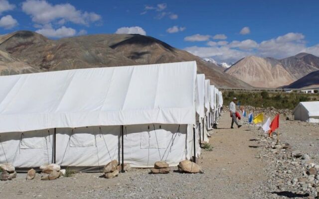 Pangong Paradise