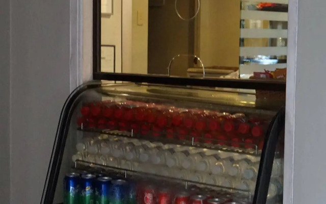 Metro Room Budget Hotel