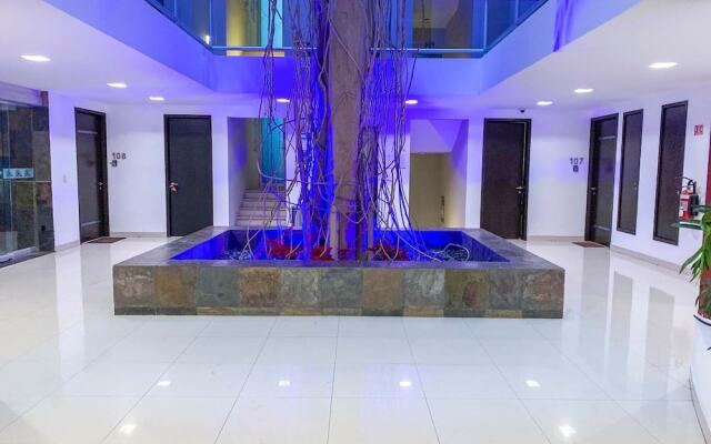 Oasis 12