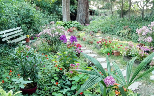 Villa Sequoia Garden