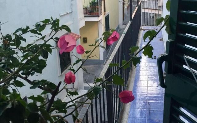 B&B la Bouganville