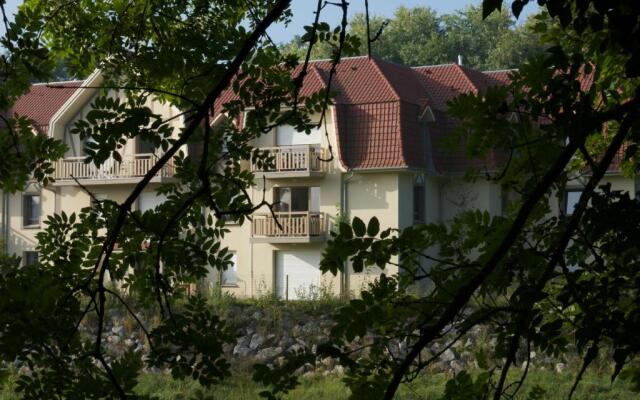 Sur le chemin des phoques