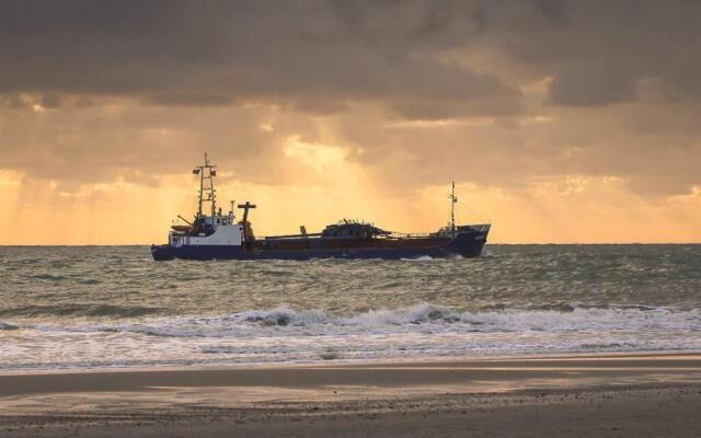 Boszicht aan de Kust 2