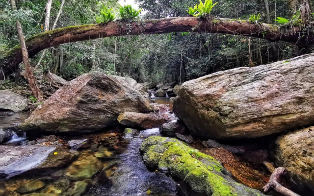 Stoney Creek Cottage