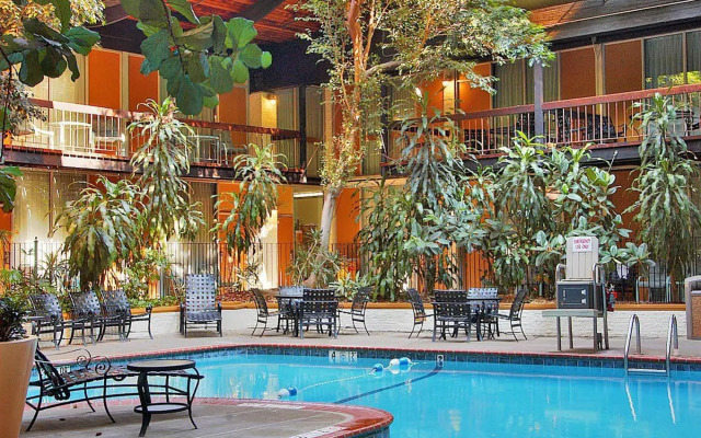 M Hotel Buffalo